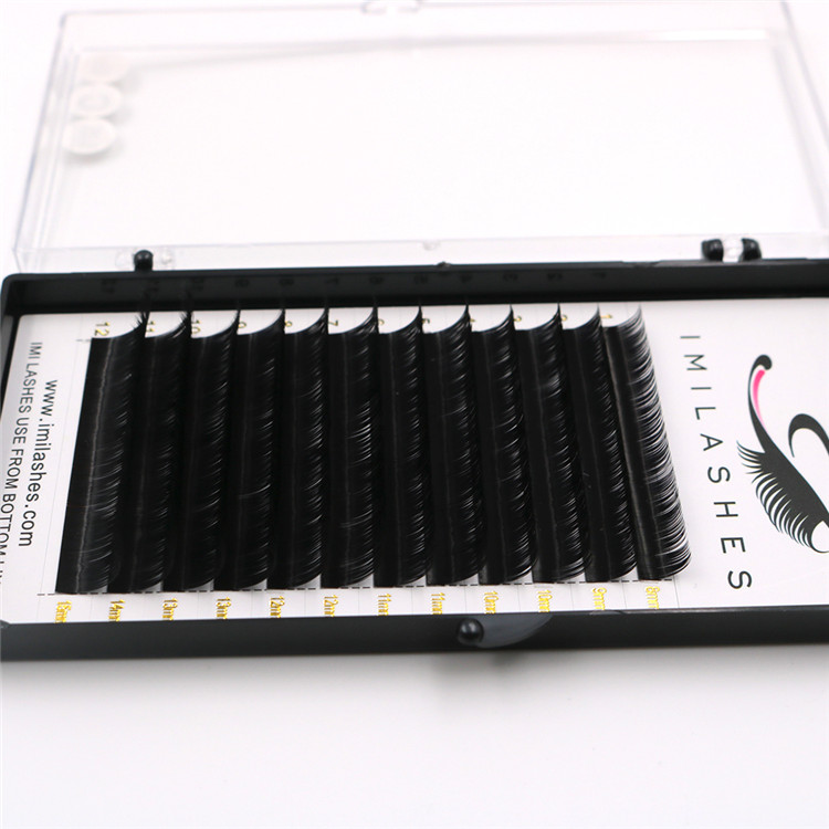 volume eyelash factory.JPG